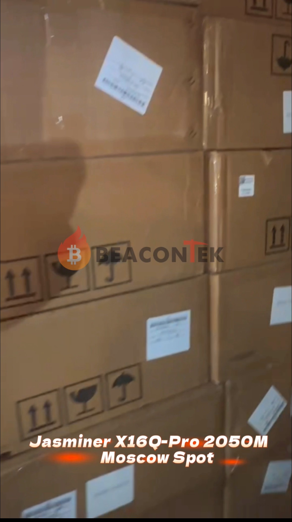 New batch of Jasminer x16Q pro arrived at Moscow warehouse